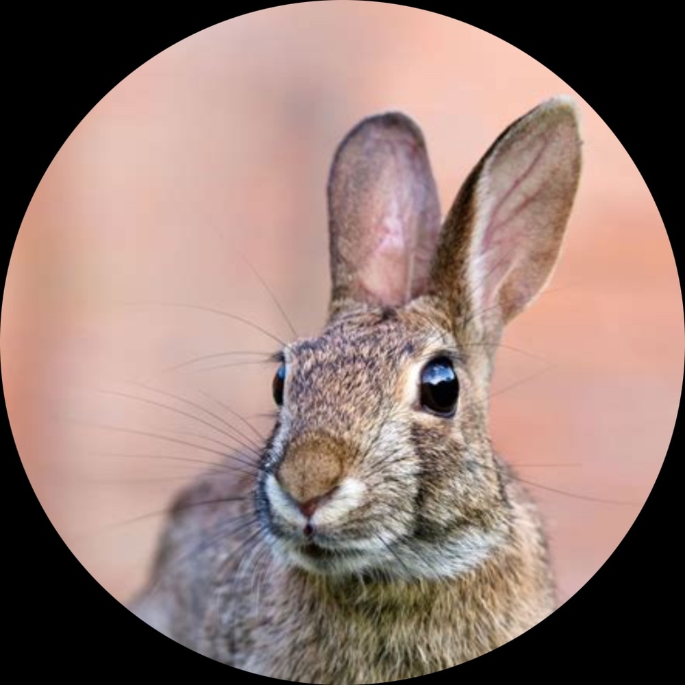 Meet your Posher, Marilyn